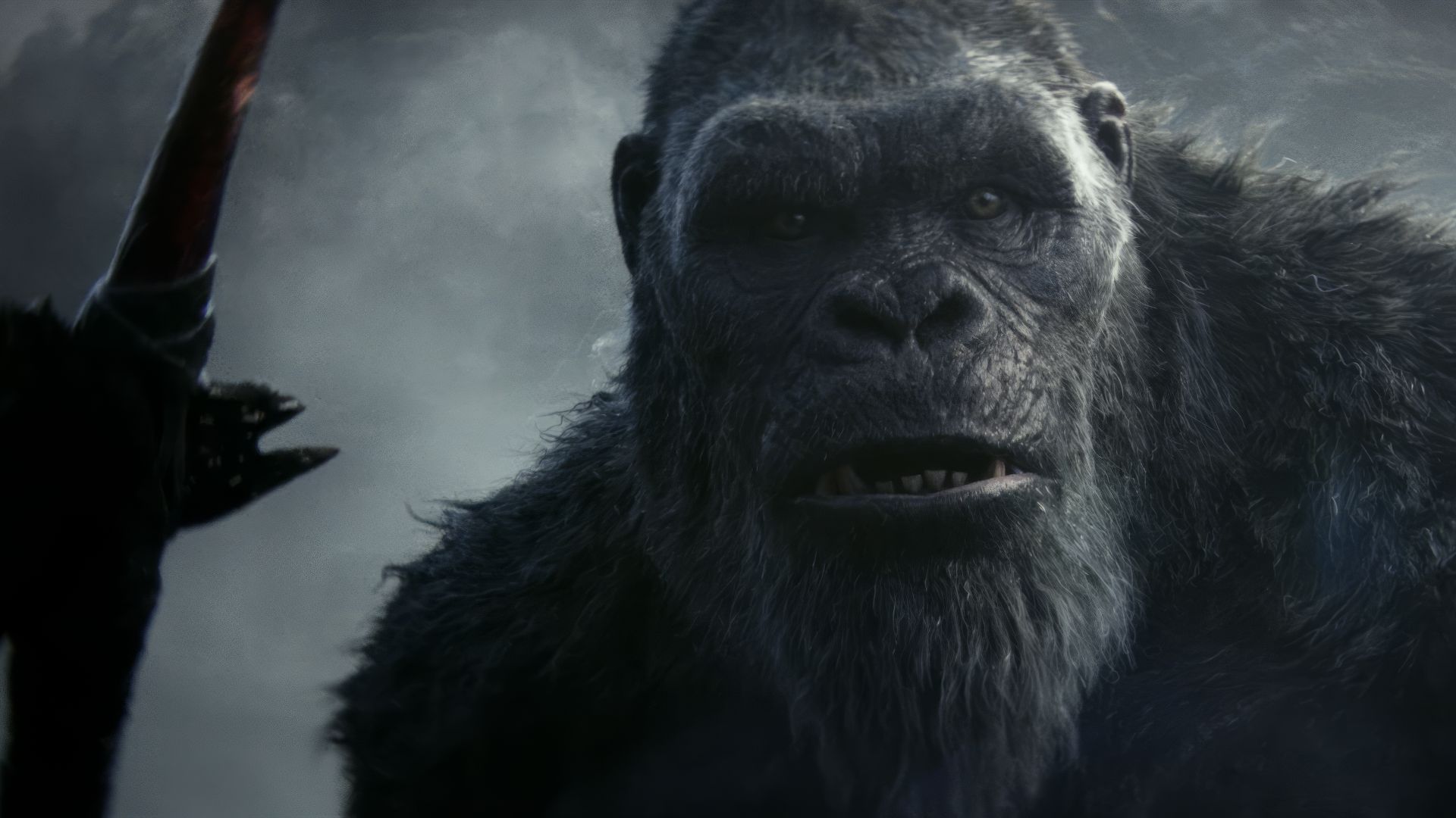 ویدیو فیلم Godzilla x Kong |  کینگ کونگ با بچه گوریل آشنا شد