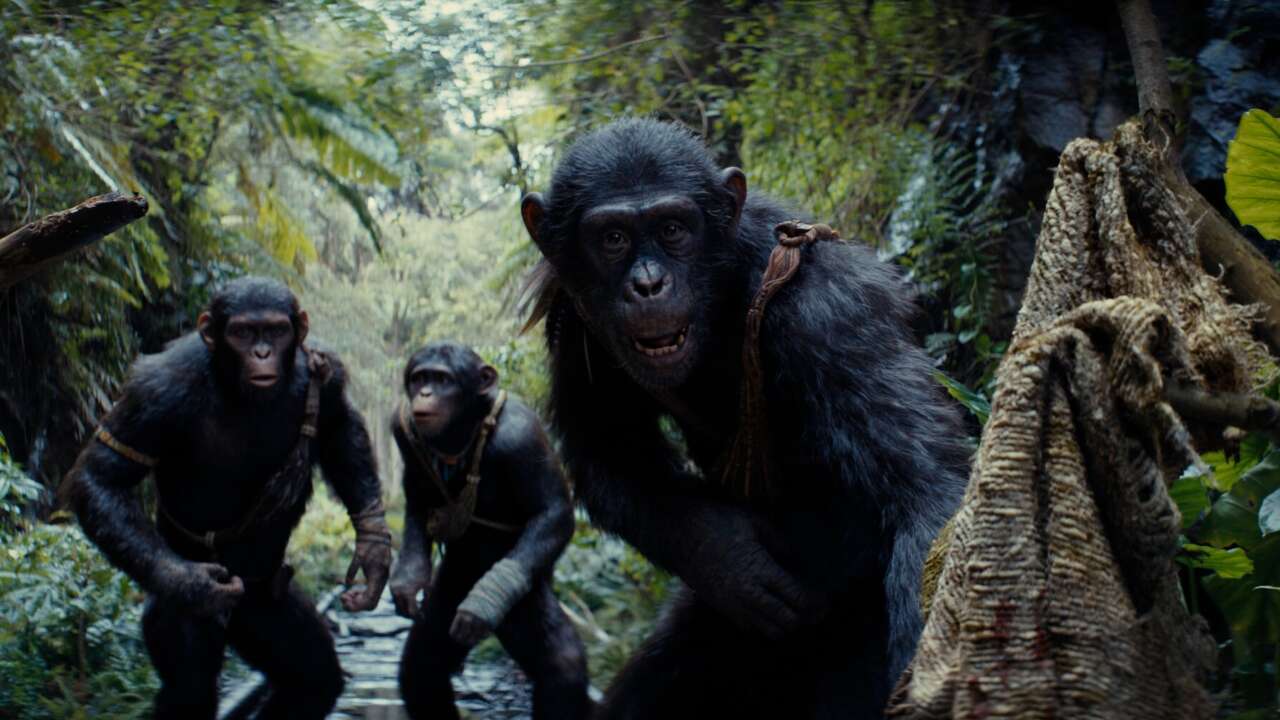 همه 10 فیلم سیاره میمون ها، از جمله پادشاهی، رتبه بندی شدند